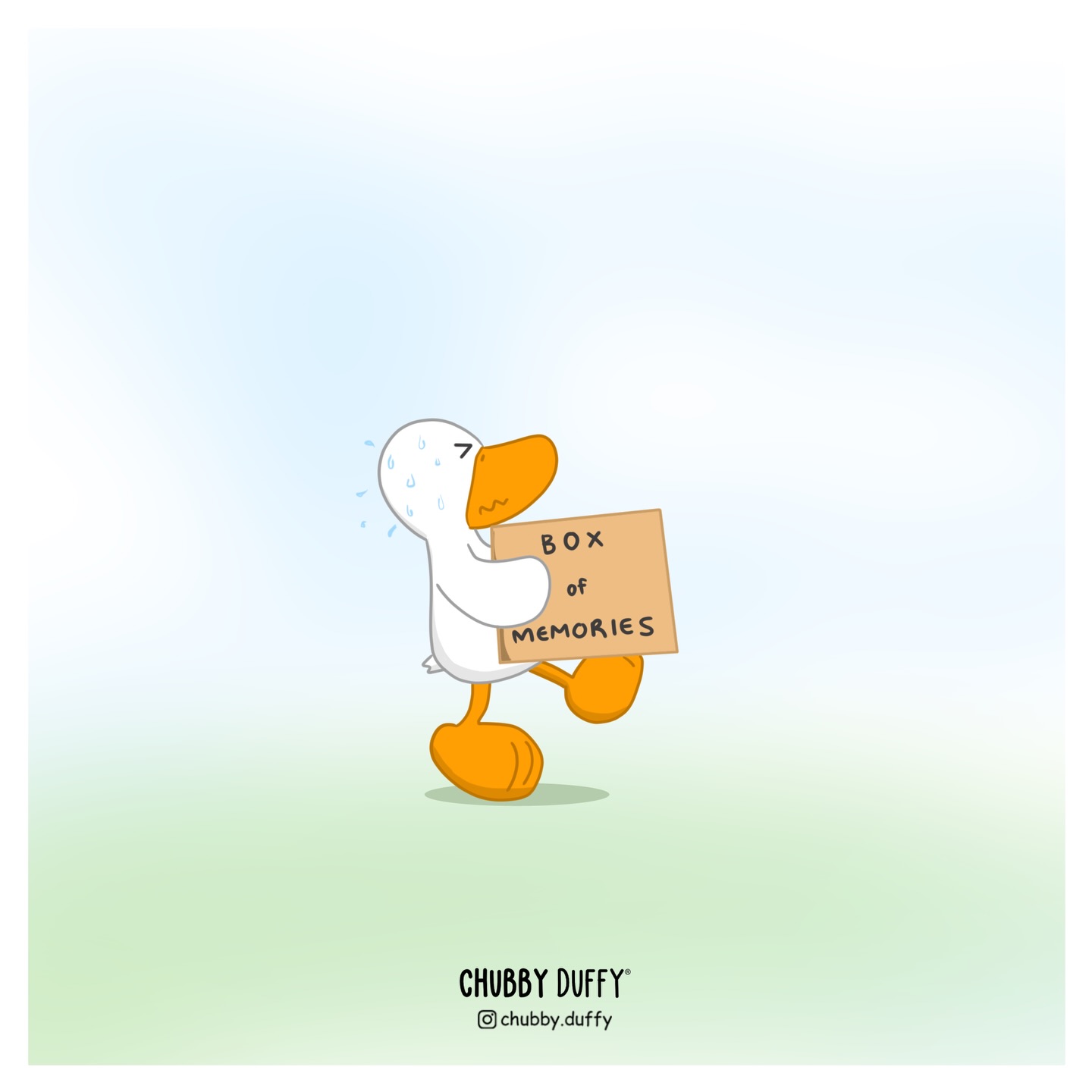 605818242 18353992564205315 5448655095310878266 n